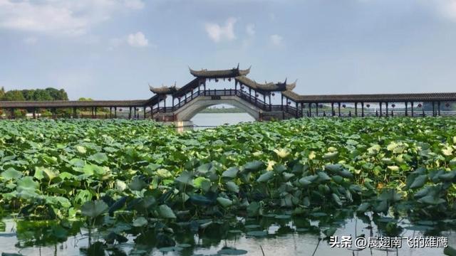 《再遇锦溪，梦寻江南》