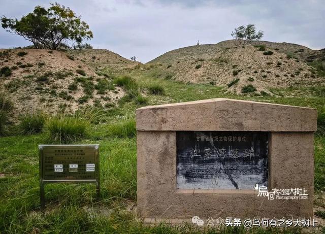 兰州汪家湾墓群：毗邻明长城，封土下已被挖成悬崖未见棺椁