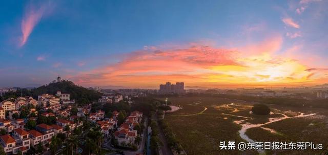 秋天不必远行！来桥头，闯入一片粉色云雾与油画黄昏
