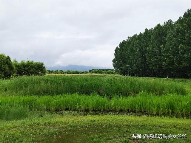 有空剑川闲一闲