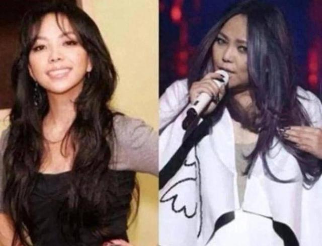 年轻时倾国倾城	，老了却胖成“土肥圆	”，这6位发福的女星好可惜