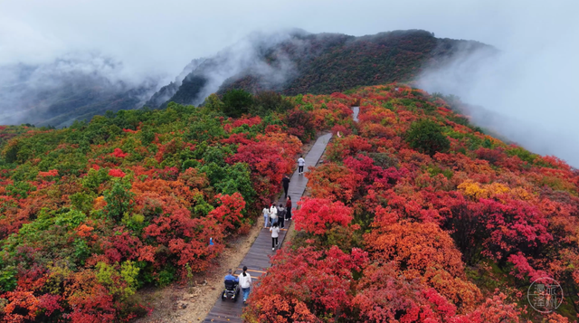 山西又“红”啦！金秋时节，这4处绝美赏叶地千万别错过！