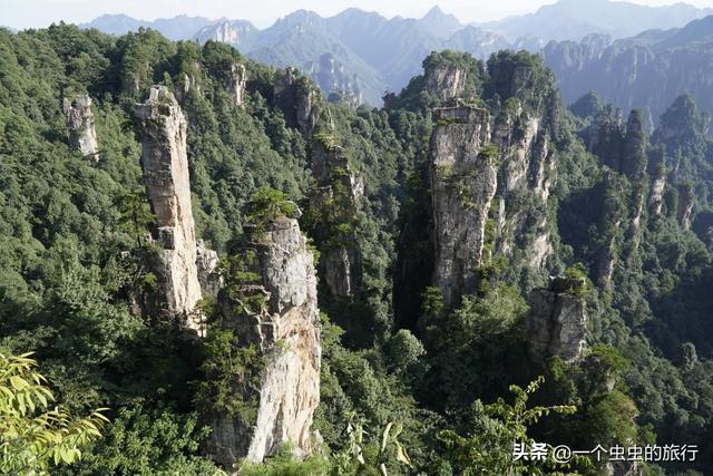 杨家界千米悬崖上的天空之路，揭秘杨家界“天然雕塑群”