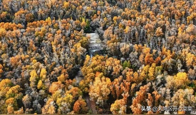 伊犁秋色漫游指南来啦！三条主题线路，开启你的如画旅程