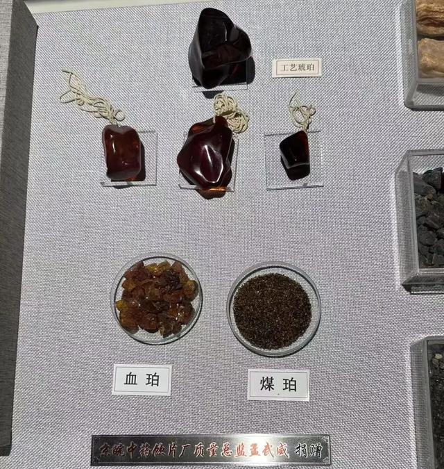 走，去中医药博物馆看玛瑙（说笑了~）