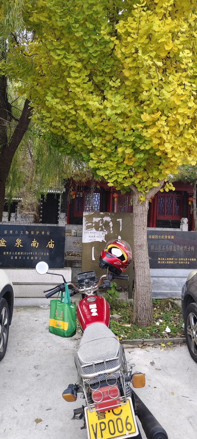 去博山盆泉张丹顶赏红叶