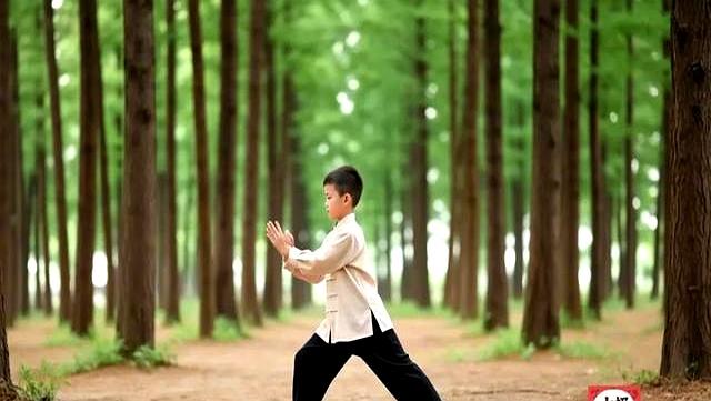 初学太极必背口诀，基本要领及招式要点