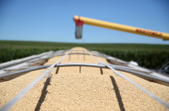 特朗普不敢怠慢中国，提前3天实现对华承诺，高市早苗哪来的胆？