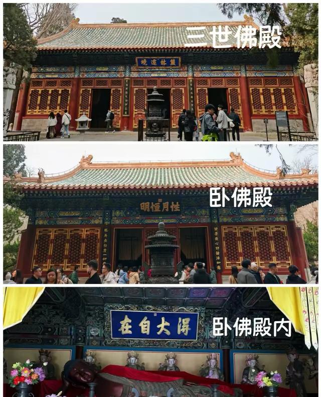 没想到北京卧佛寺 千年铜佛旁求offer 皇家寺庙成新晋求职打卡