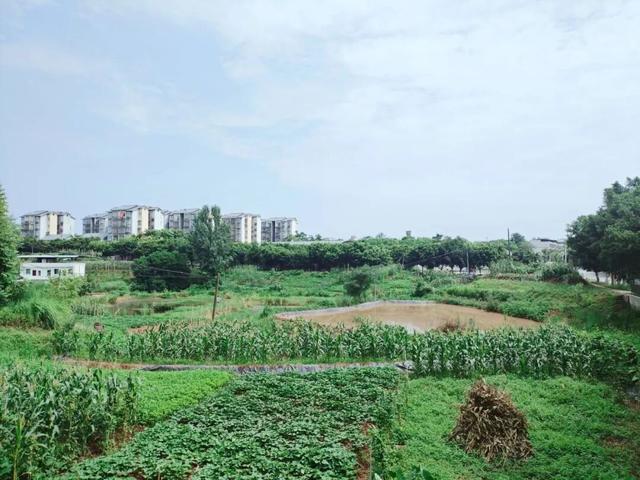 渝西永（川）荣（昌）边界点：观山坡