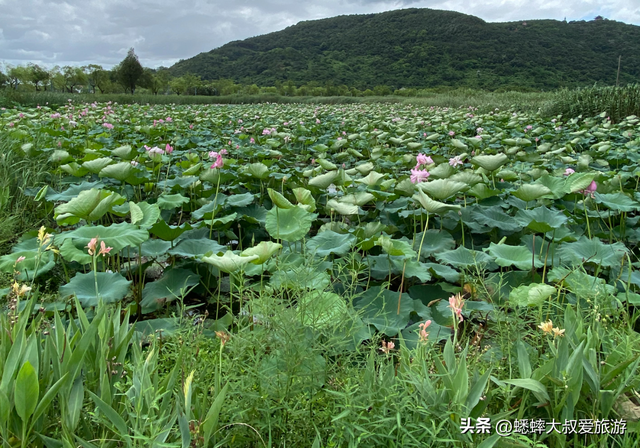 这个这江浙沪名湖太棒了，坐拥“西湖+太子湾”意境，超适合穷游