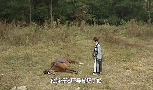 董洁、何润东主演古装校园剧《新梁祝》:马文才比梁山伯更受欢迎