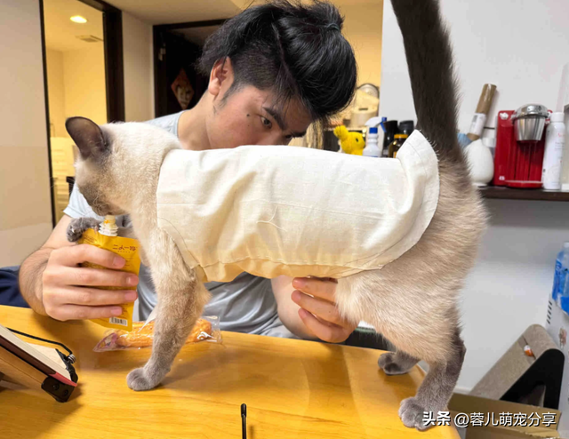 男子吐槽老婆是为了猫才和他结婚的，本来不信，结果哈哈笑喷了！