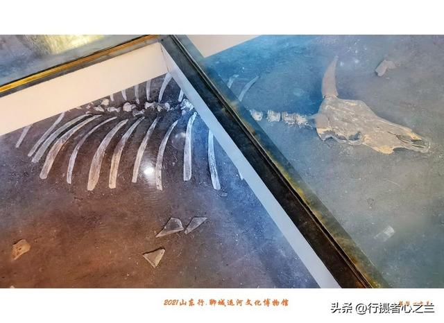 山东行游影记（270）—聊城中国运河文化博物馆（三）