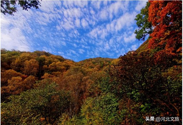 层林浸染，江山如画！石家庄五岳寨迎来秋季最佳观赏期