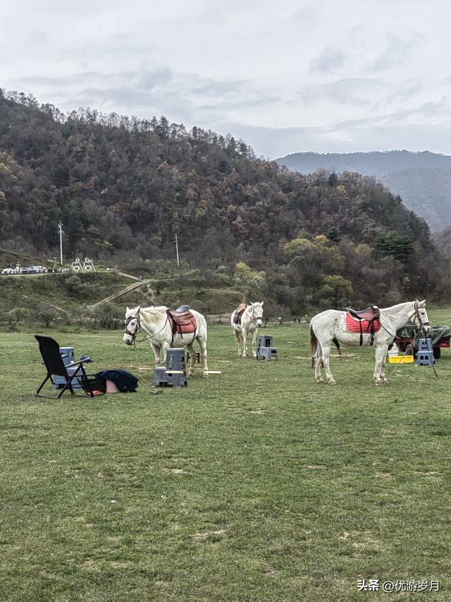 秦岭狮子沟牧场&牛奶湖