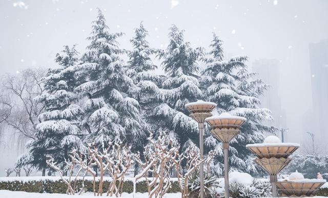 “春节冷不冷，就看冬至”，今日冬至，2026年春节特别冷吗？