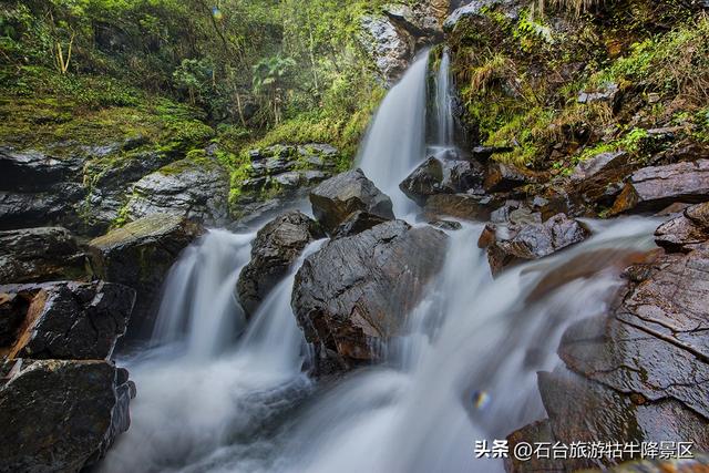 霜染西黄山，新岁诗意浓