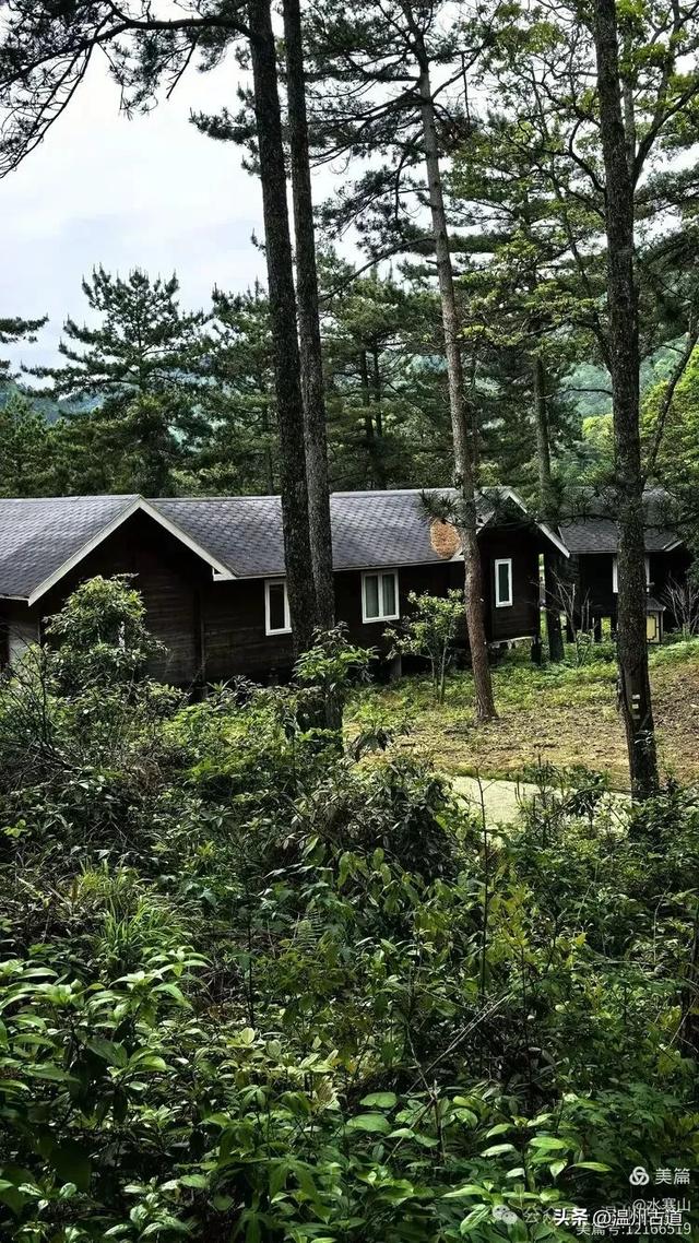 温州酷暑哪里有清凉,当然永嘉四海山!