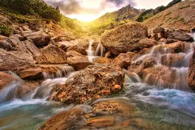 为什么搬离“电梯房”的人越来越多？看完文章你就明白了图片