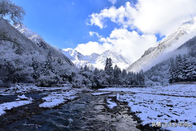 深秋走进理小路