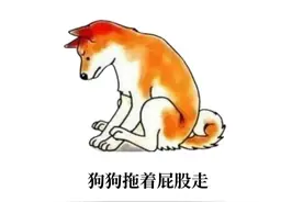 狗狗早就向你求救了，你却视而不见!图片