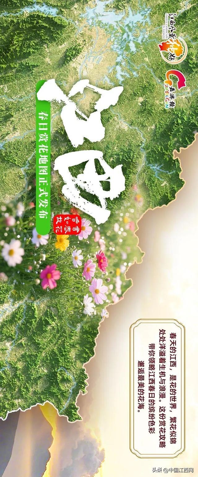 探春花丨江西春日赏花地图正式发布！
