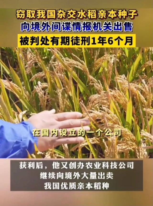 央媒通报！又一间谍行为曝光，作案手法阴险，粮食安全受威胁