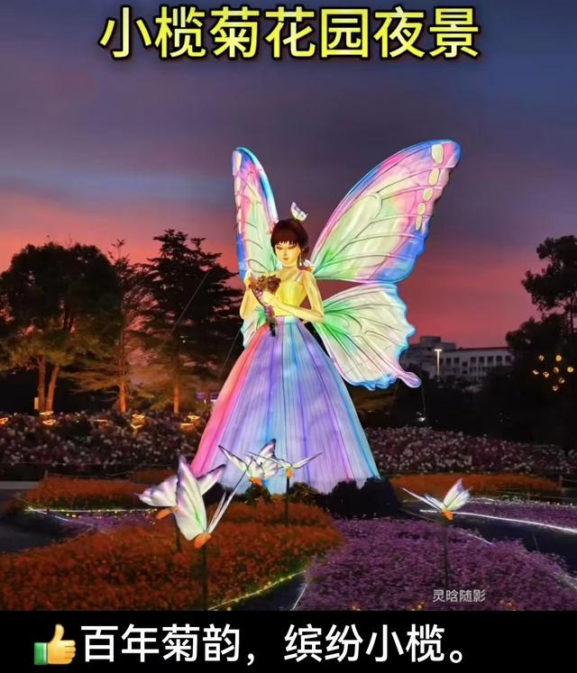 伟人故里 盛世繁华：左丹红博士心中的中山小榄百年菊会