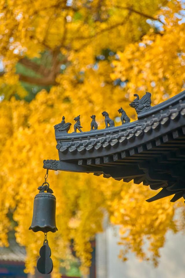 太全面了！8条游玩线路+京郊汤泉！带您玩转北京这里！（1）