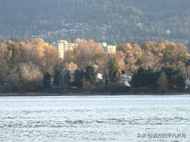 温哥华游记（四）