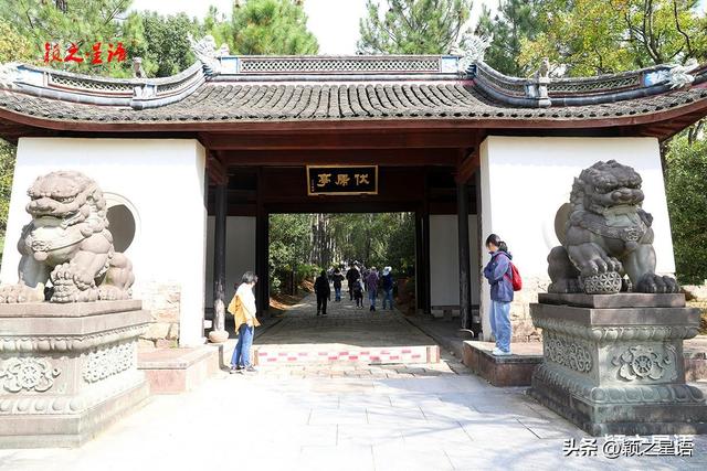 天童寺的高光时刻，禅意弥漫，东谷秋红