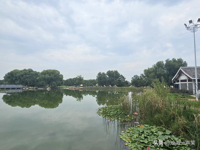 走，一起露营吧，有湖有水有帐篷，有花有景有乐趣