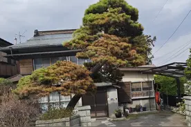 中国男人和日本老婆的情缘故事图片