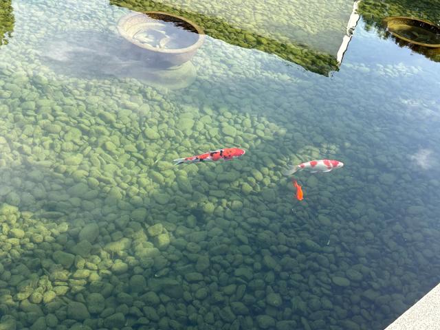 苏州博物馆的超详细参观体验以及周边美食推荐