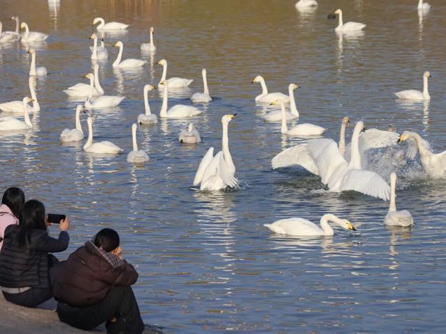 冬日周六晴好，邂逅热闹苍龙湖