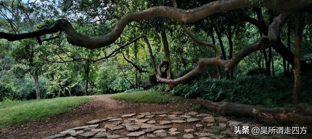 归来看山一龙潭二十四峰探幽录（五）