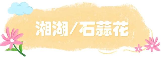 萧山已美到next level！不少人扎堆往这赶！
