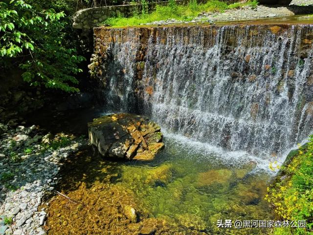 绿野仙踪+山水秘境！快来黑河抓住夏天的尾巴，奔赴一场绿意清凉之约