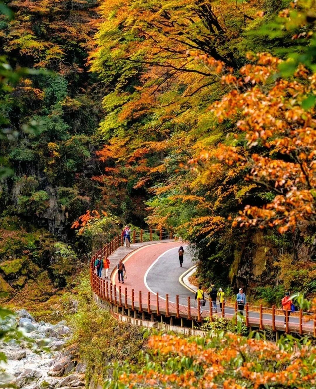 追了光雾山的红叶，这个秋天没白过！