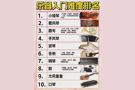 乐器入门难度排行榜！你会学哪种？图片