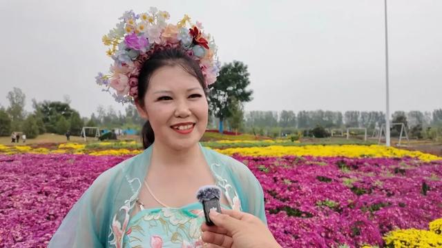 古城双节菊展 金秋醉游人