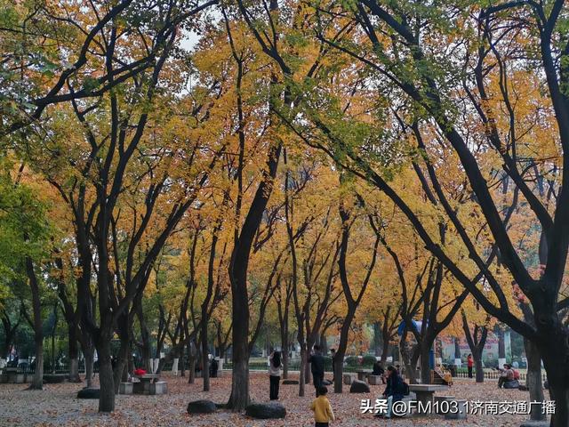 公园景区秋色图鉴,这几处必打卡