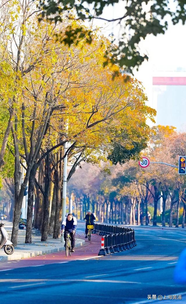 最美的季节！一起来静谧斑斓的黄浦滨江晨跑吧！