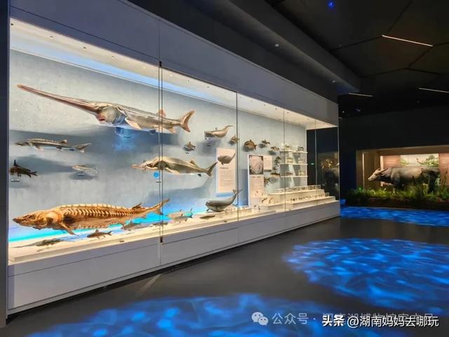 沉浸式幻境剧场、穿越级古楼奇妙夜…这才是亲子游的“神仙打开方式”