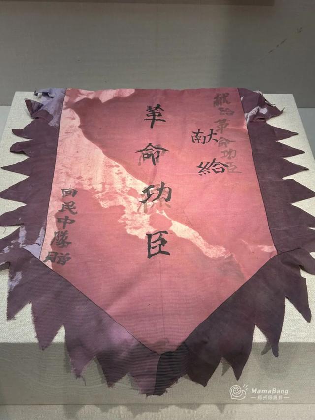 出郑州，开学前还能玩什么？这几个展览免预约，又凉快！