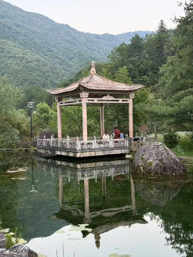 林壑听涛逢旧雨 溪声松语话流年