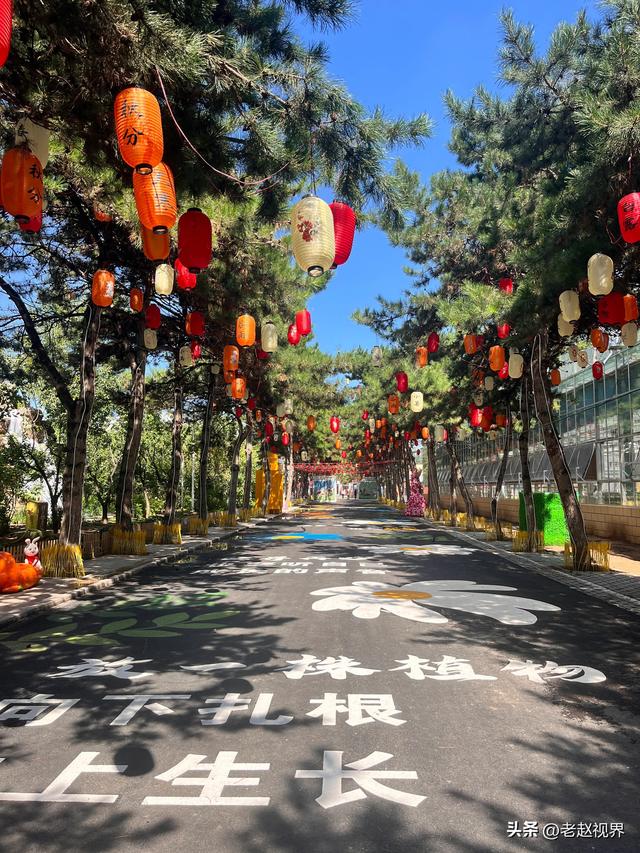 探秘呼和浩特！北疆农牧科技文化园，解锁城市里的田园新玩法！