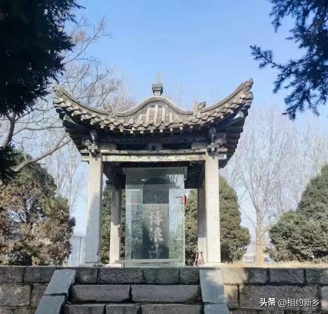 这个秋天，回“乡”看看