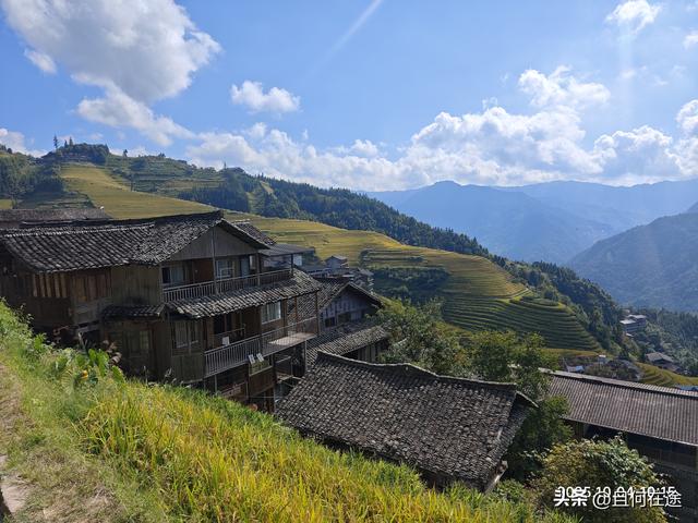 国庆期的龙脊梯田，即使是用老人机，也能拍出最动人的秋景与秋色